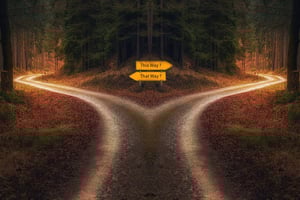 Roads diverging, with signs that point opposite directions and read 